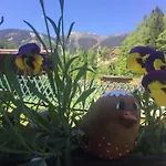 Marlies