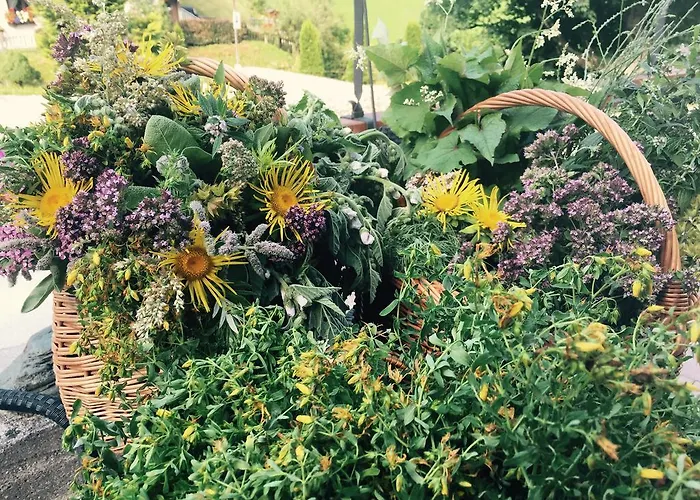 Marlies Целль-ам-Зе