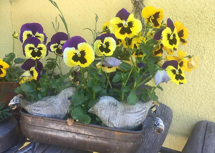 Гостевой дом Marlies 4*