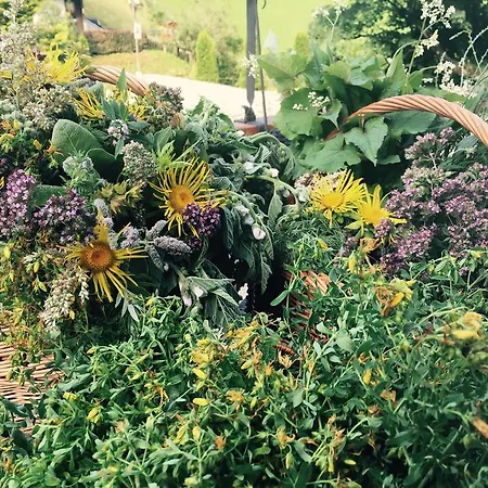 兰斯豪斯玛里兹酒店 滨湖采尔