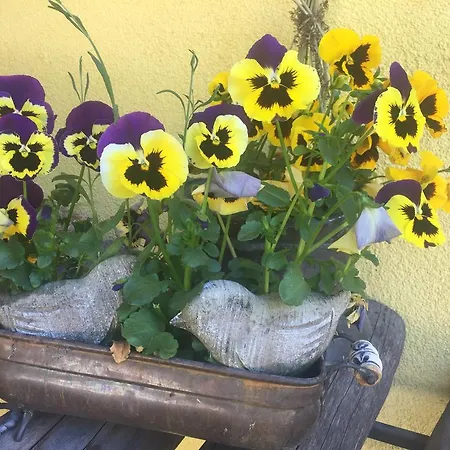 Vendégház Marlies 4*