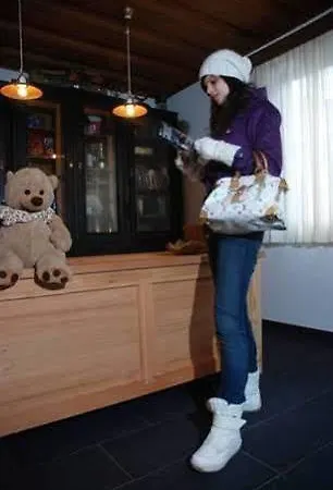 兰斯豪斯玛里兹酒店 滨湖采尔